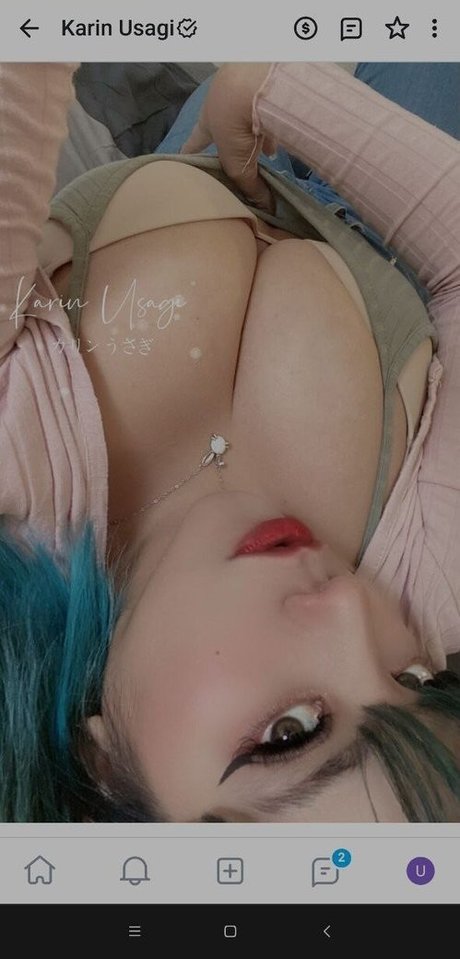 Karin Usagi