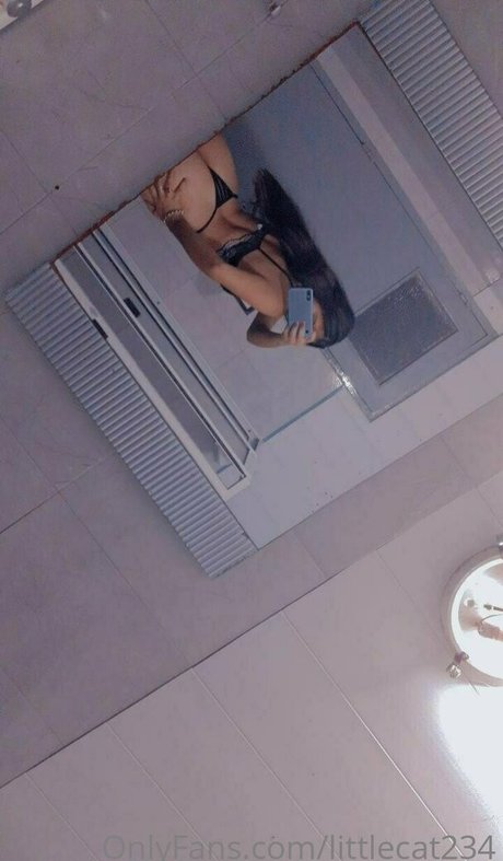 Littlecat234