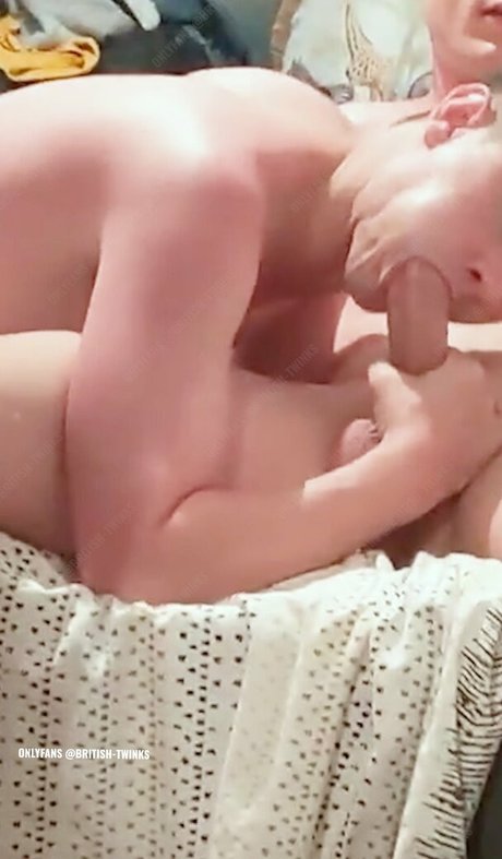 Britishtwinks