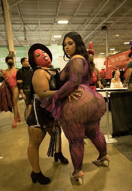 Tffnydays2wintarrose