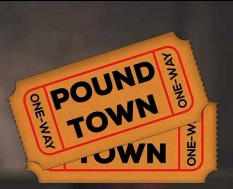 Tffnydays2wintarrose