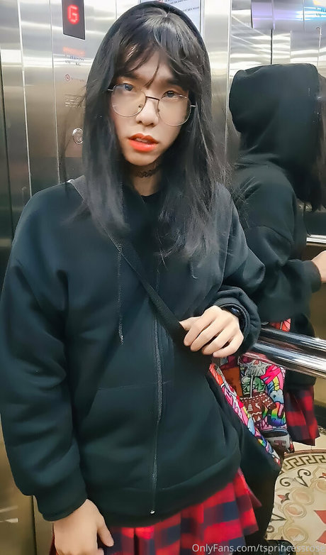 Tsprincessrose