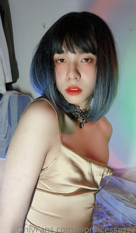 Tsprincessrose
