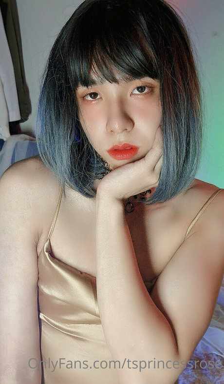 Tsprincessrose