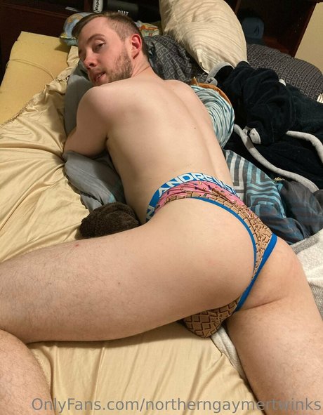 Northerngaymertwinks