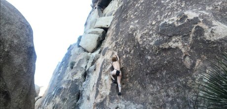 Angelica Danger Dawn